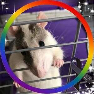 Meet your Posher, Mariah